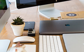 2025安卓TP新版发布，现场亲测下载渠道与真实体验全分享