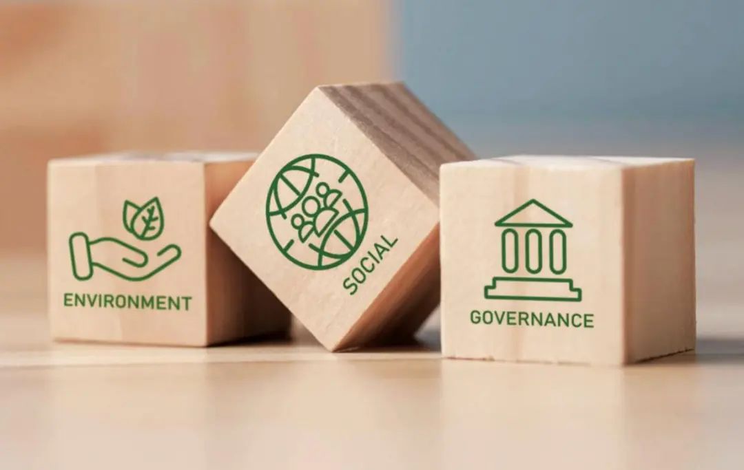 特斯拉回报率_特斯拉投资项目_安全投资的回报:特斯拉的战略视角