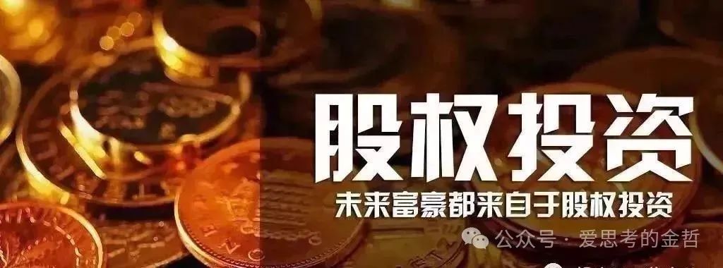 特斯拉投资项目_特斯拉回报率_安全投资的回报:特斯拉的战略视角