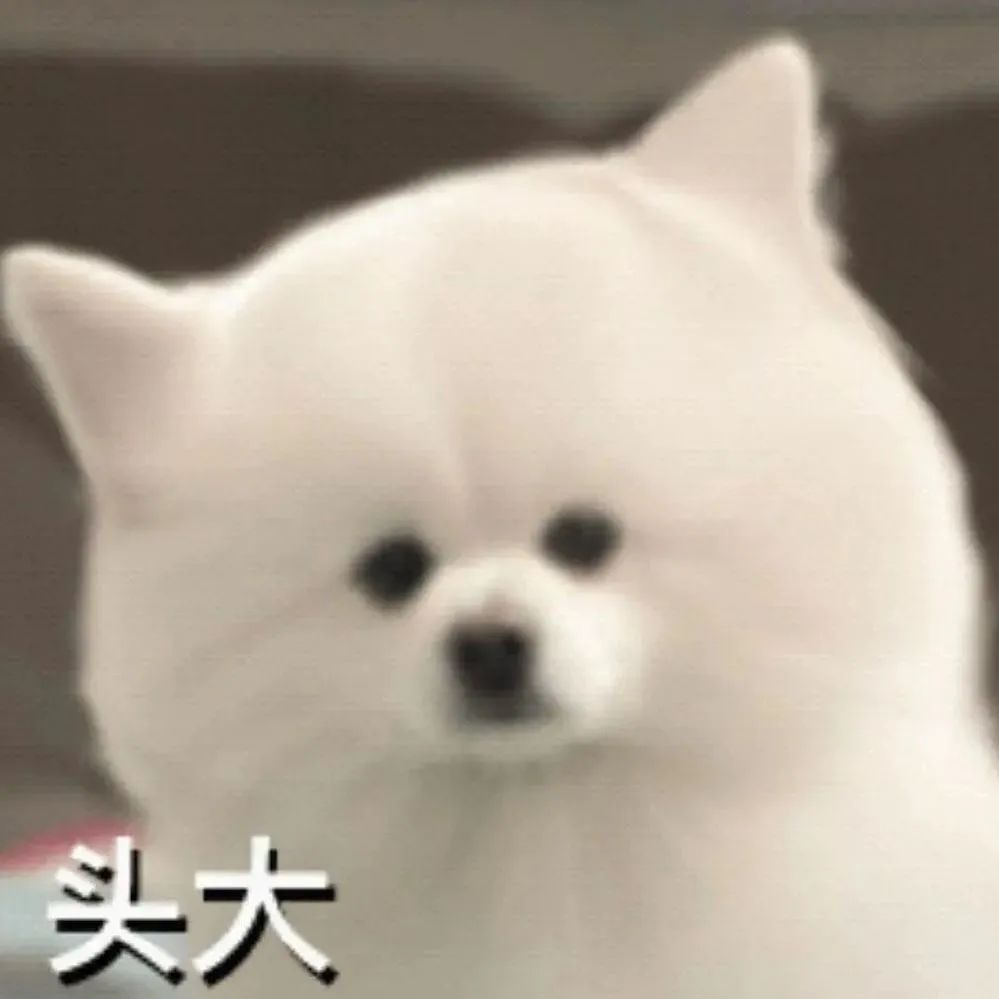 地毯拉伸_地毯拉力_地毯拉力什么意思