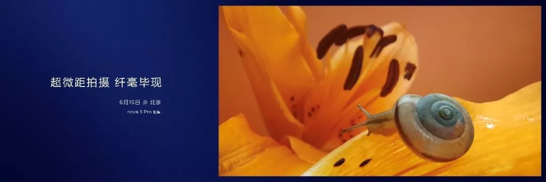 nova女装_nova潮牌_nova系列如何引领时尚潮流?