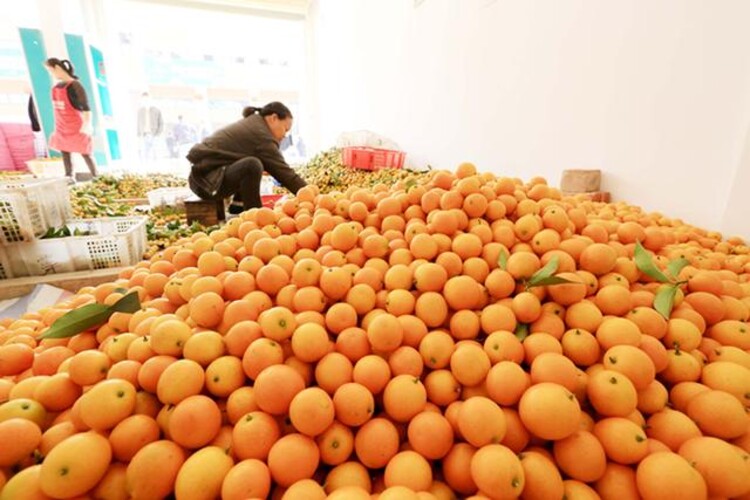 法拉利营销策略_法拉利营销案例_法拉利的品牌塑造与市场传播策略