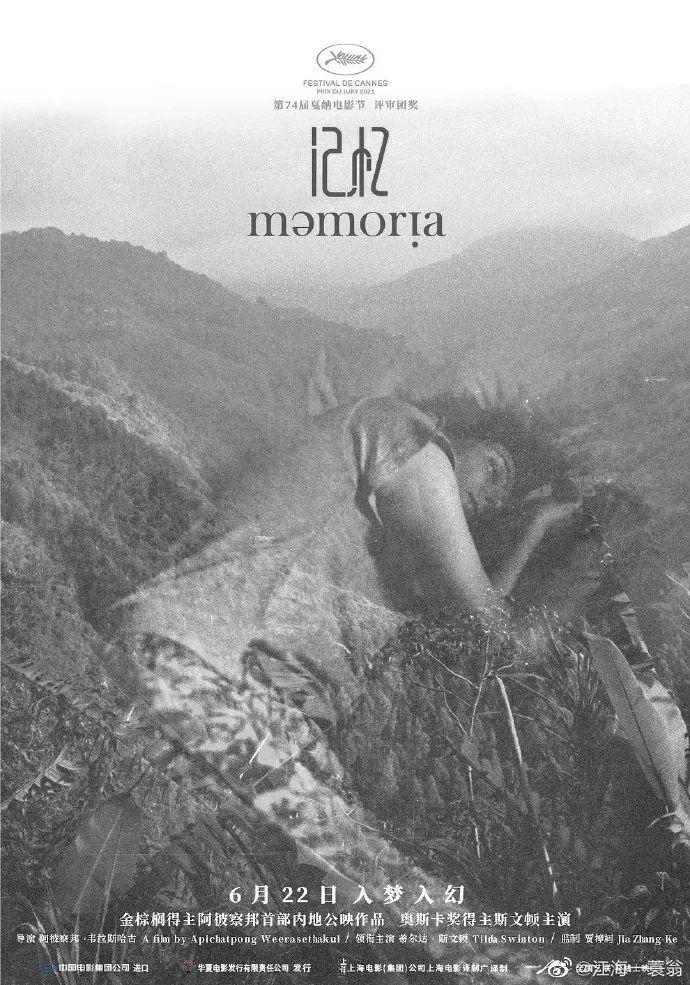 性别权力测量_四大电影中的性别与权力议题_性别与权力