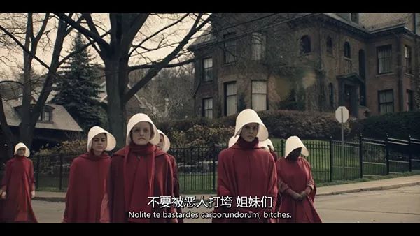 四大电影中的性别与权力议题_性别权利的载体_性别与权力