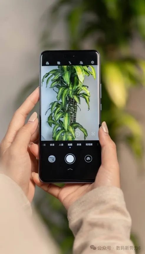 华为nova系列参数_双立人nova系列_nova系列手机的最新功能亮点