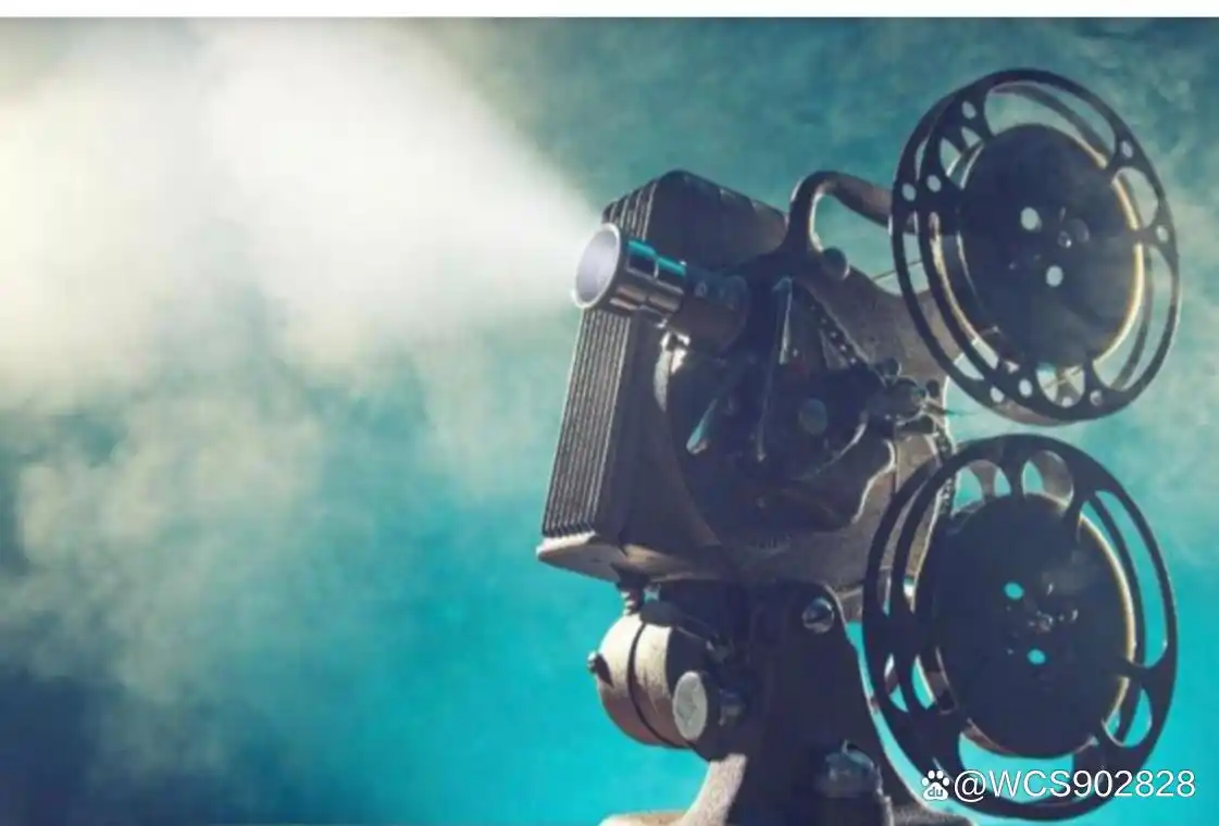 吴京的电影角色与社会反映_吴京塑造的经典角色有哪些_吴京电影风格分析