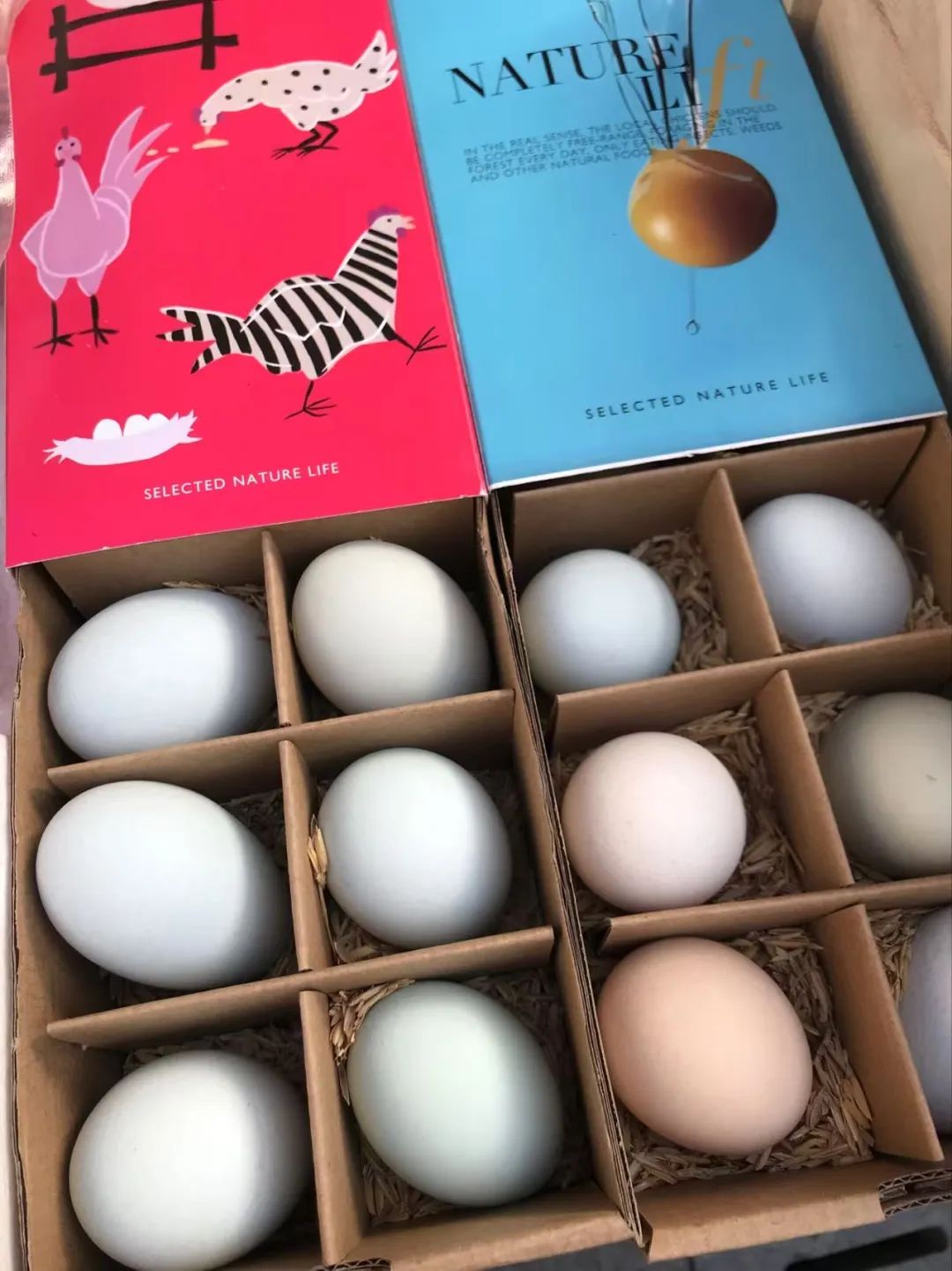 从土壤到餐桌,胖东来的食品安全责任_从土壤到餐桌,胖东来的食品安全责任_从土壤到餐桌,胖东来的食品安全责任