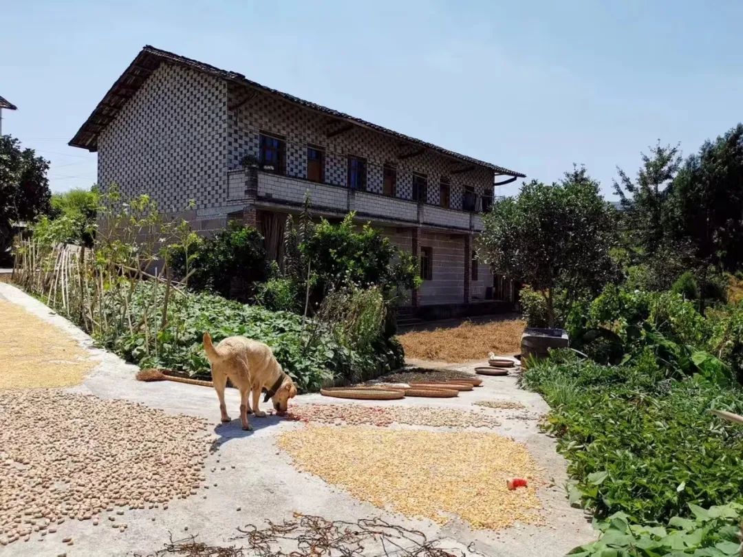 从土壤到餐桌,胖东来的食品安全责任_从土壤到餐桌,胖东来的食品安全责任_从土壤到餐桌,胖东来的食品安全责任