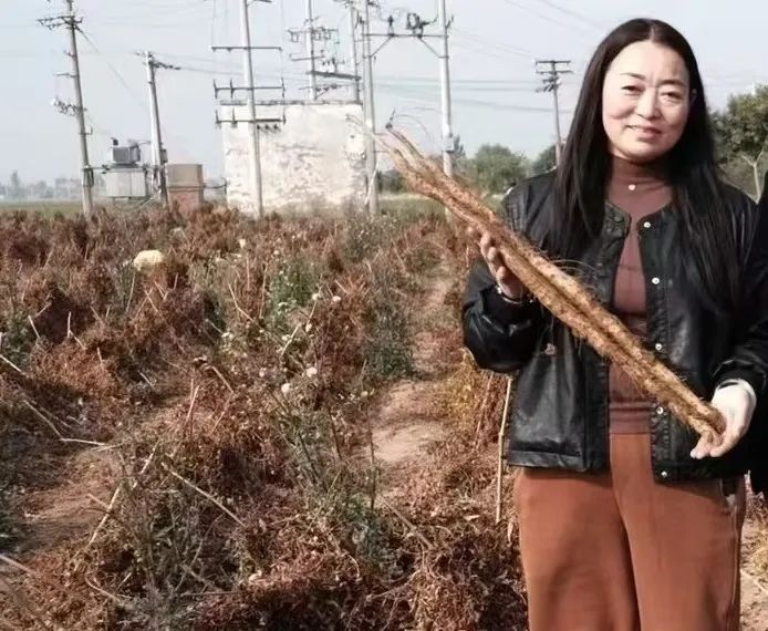 从土壤到餐桌,胖东来的食品安全责任_从土壤到餐桌,胖东来的食品安全责任_从土壤到餐桌,胖东来的食品安全责任