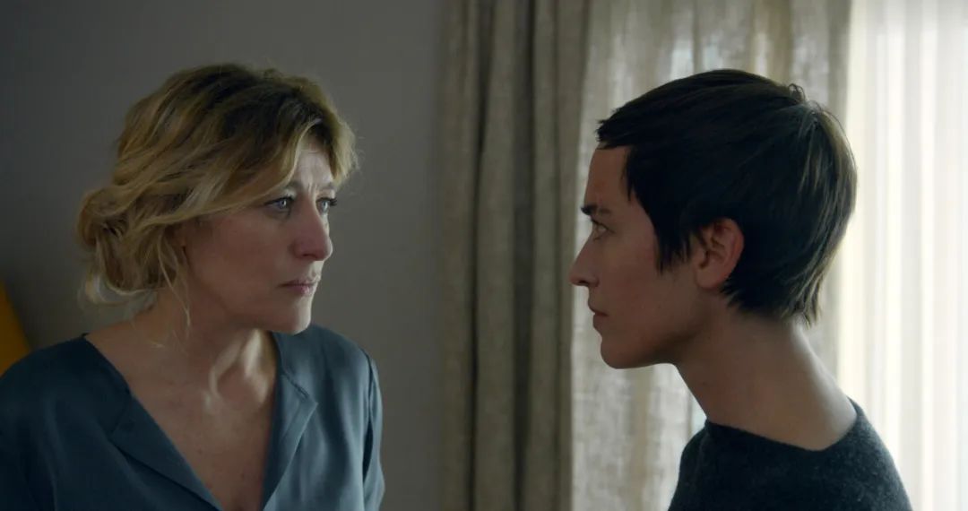 银幕经典_感受银幕魅力:2023年十大影片精选_电影银幕世界的魅力