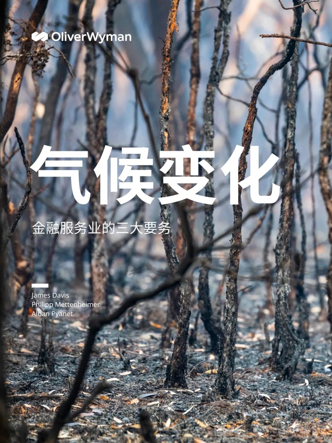 全球石油市场的复杂性,分析风险上升对政策制定的影响_石油行业政策风险_石油上升的原因