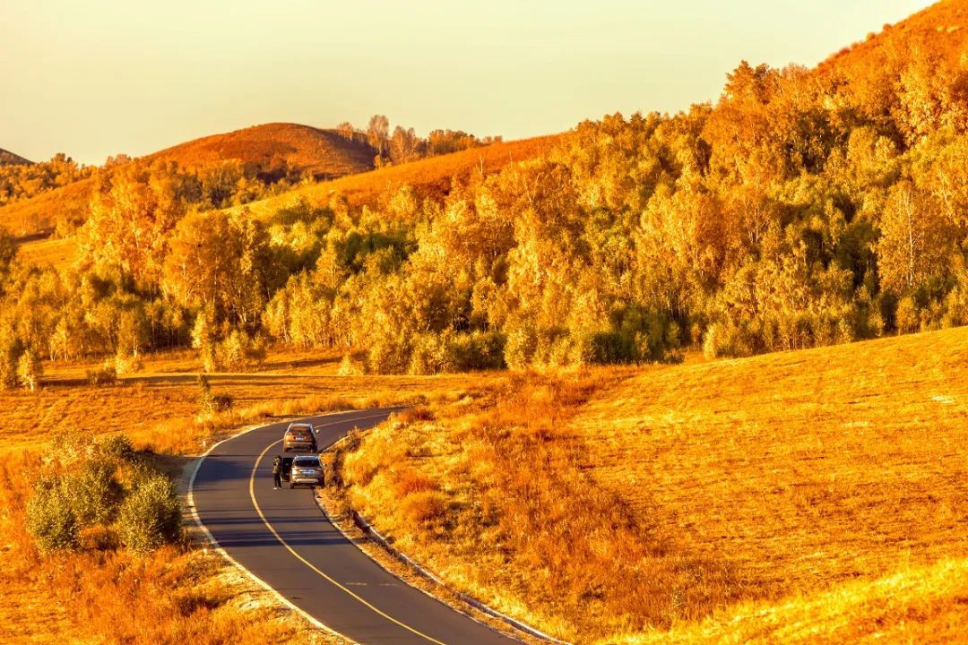 软文推广平台来咨询推文网好_对于初学者来说最好的交易平台是什么?_qq号码交易哪个平台好