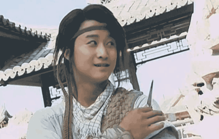 赵文卓武术表演视频_武术演员赵文卓_赵文卓的武术风格与个人特色