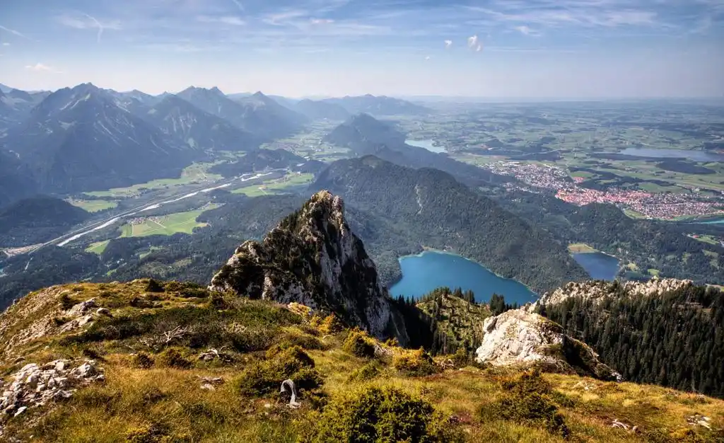 MH外汇移动端平台：随时随地交易，智能功能提升便捷性
