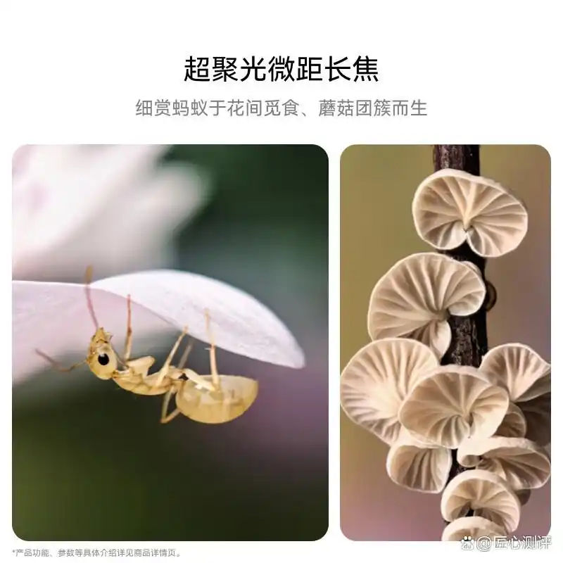 关于华为手机创新的案例_华为手机的创新设计与防护性分析_华为的模仿创新