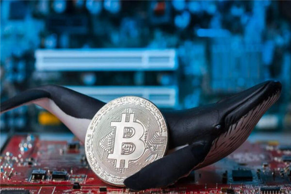 比特币跌幅最新消息