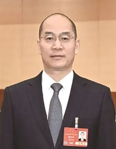 张敏的职业转型与新挑战_张敏的职业转型与新挑战_张敏的职业转型与新挑战