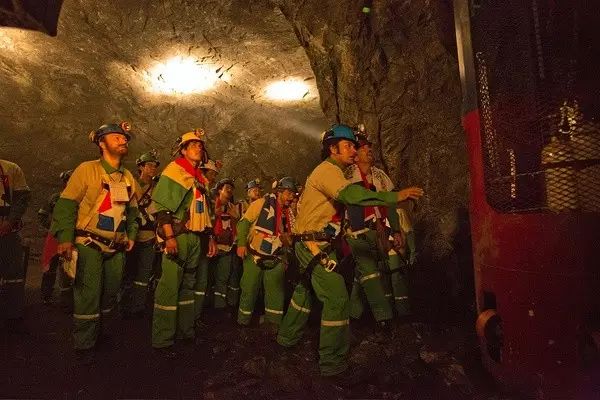 张晋的动作电影生涯回顾_张晋电影作品_电影生涯回顾动作张晋在线观看