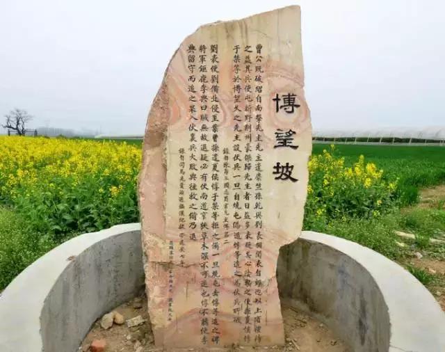 周瑜诸葛亮太史慈_周瑜与诸葛亮的智斗史_诸葛亮同周瑜斗志