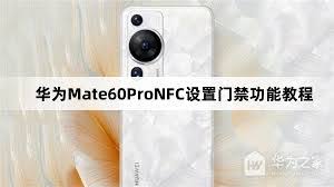 钱包密码是什么_如何在imToken钱包官方版中设置安全密码_钱包密码设置在哪里找