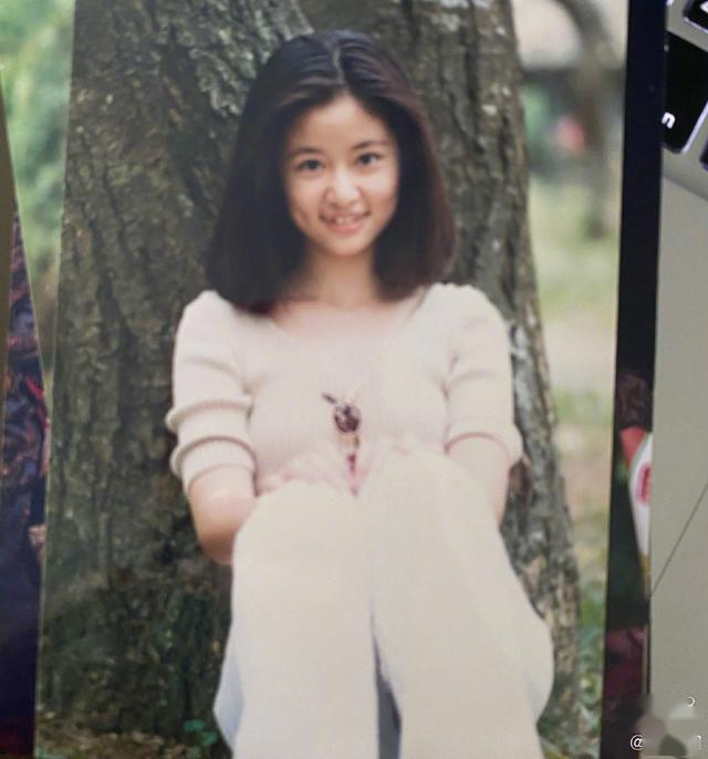 林心如和林志颖_林心如严宽_林心如