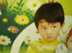 林心如_林心如严宽_林心如和林志颖