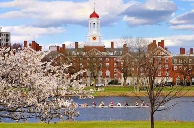 资产配置优化_怎么优化资产配置_用USDT实现高效的资产配置