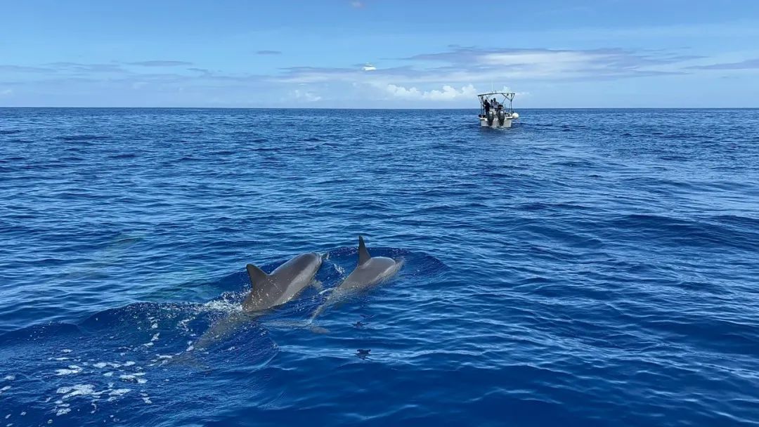 什么叫持有资产_持有资产考虑什么_长期持有策略：选择优质的数字资产进行长期持有，通过价格上升实现资产增值。
