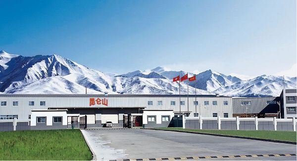 昆仑玻璃的市场定位与用户需求_若邻网更专注用户的细致需求_易用性和用户体验需求