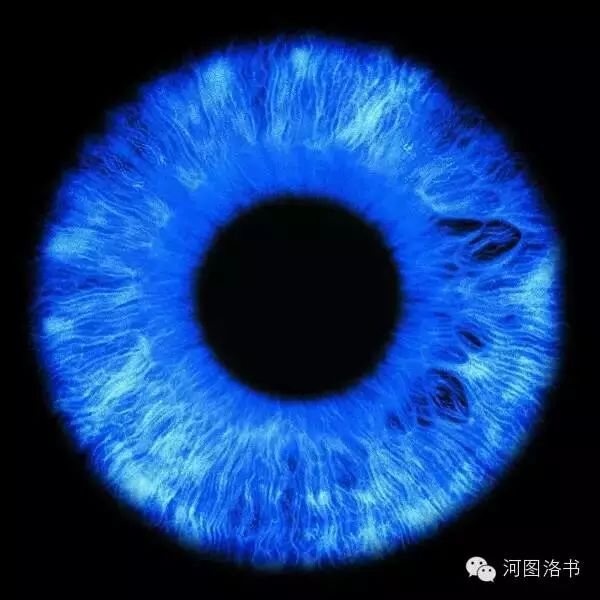 姜子牙的智慧与兵法应用_姜子牙的兵法叫什么名字_姜子牙兵法