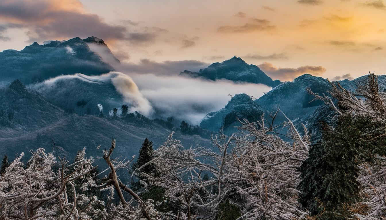 TokenPocket钱包使用指南：初始设置、转账要点及常见问题解答