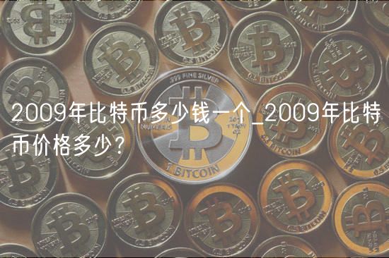 2009年比特币诞生初期价格极低及变化原因：市场的不成熟等因素所致
