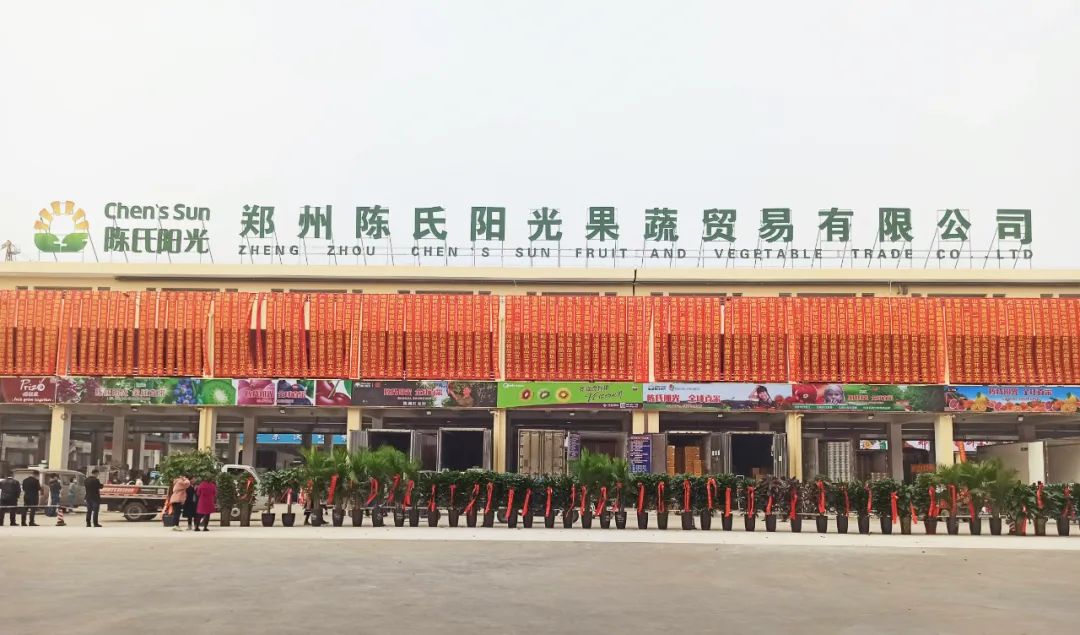 陈氏阳光：从摆摊到全球水果供应链品牌的30年发展历程与未来展望