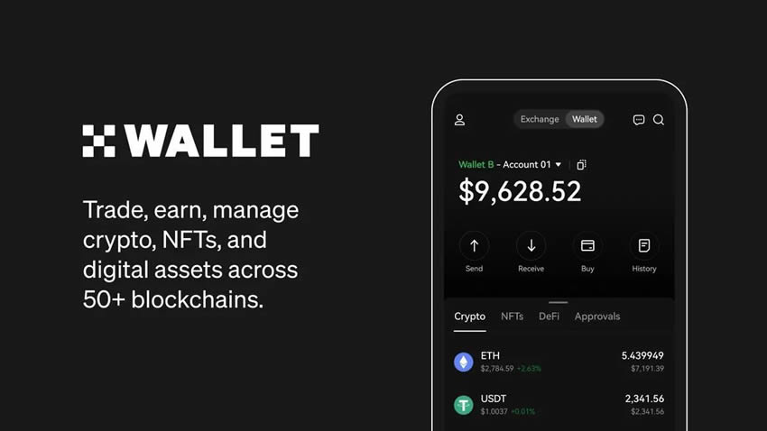 生态钱包是什么意思_钱包生态平台_如何通过USDT钱包参与DeFi生态?